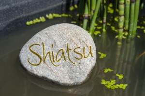Stein in Wasser mit Om, Yoga, Tai Chi, Qi gong, ZEN, Feng Shui mit Wasserlinsen und Schachtelhalm